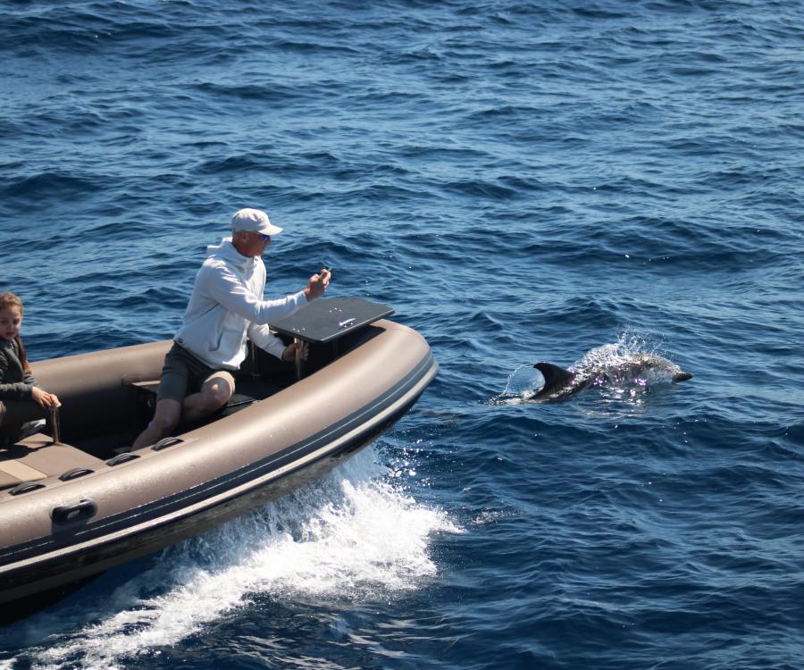Horizon large : Découverte des dauphins et des baleines au large